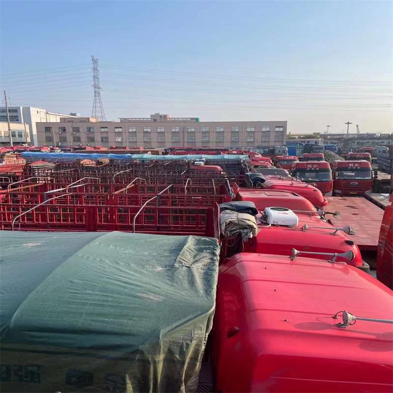 金凤区栖霞市物流：多元运输服务与线路探秘