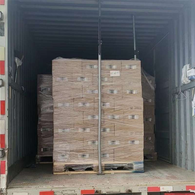 金凤区龙岩市物流专线运输：多元服务与高效体验