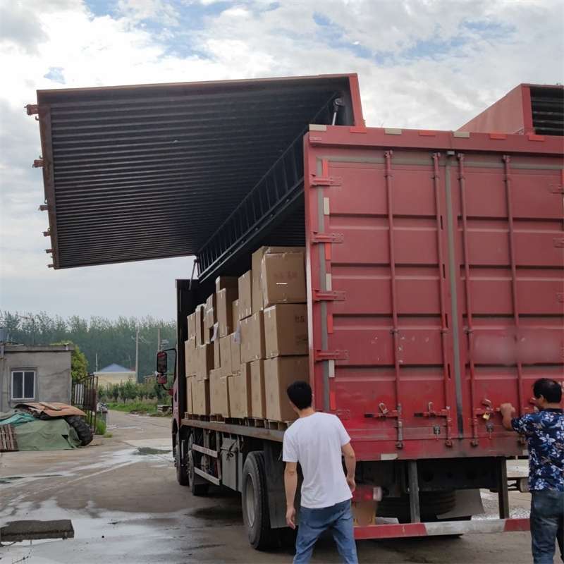 金凤区扎囊县：物流专线的高效货运之旅